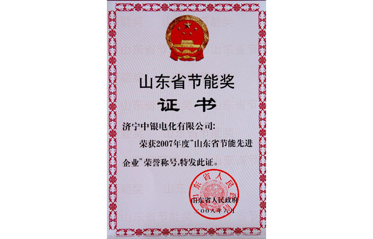 2007年度“山東省節能先進企業”