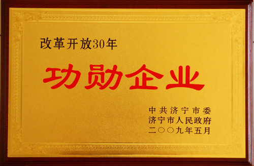 改革開放30年功勛企業