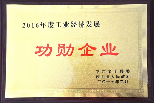 汶上縣工業經濟功勛企業